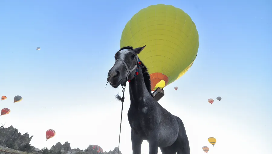 Kapadocja konno photo 8